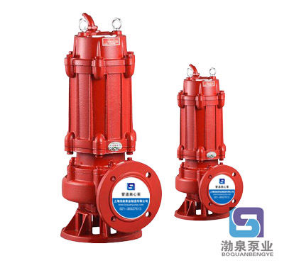 65WQR25-20-4_耐高溫鍋爐水輸送泵